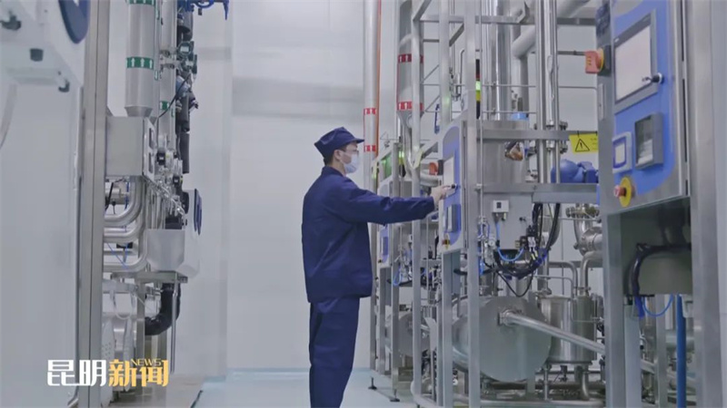 高質量發(fā)展調研行｜云南滇中新區(qū)：打造大健康產(chǎn)業(yè) 發(fā)展“三大高地”